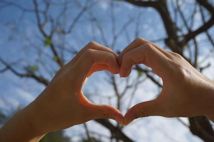 云南本地婚姻外遇出轨调查取证(云南本地婚姻外遇出轨调查取证的重要性及方法)