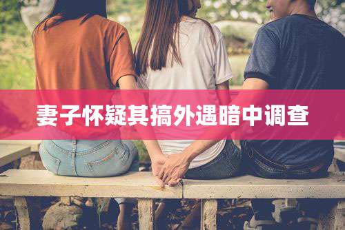 妻子怀疑其搞外遇暗中调查