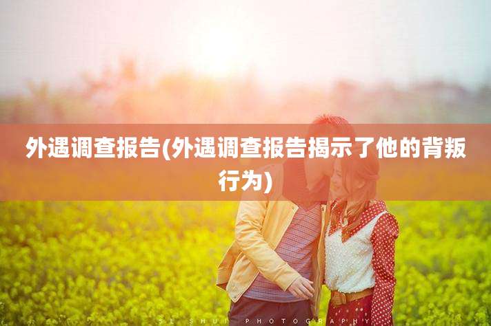 外遇调查报告(外遇调查报告揭示了他的背叛行为)