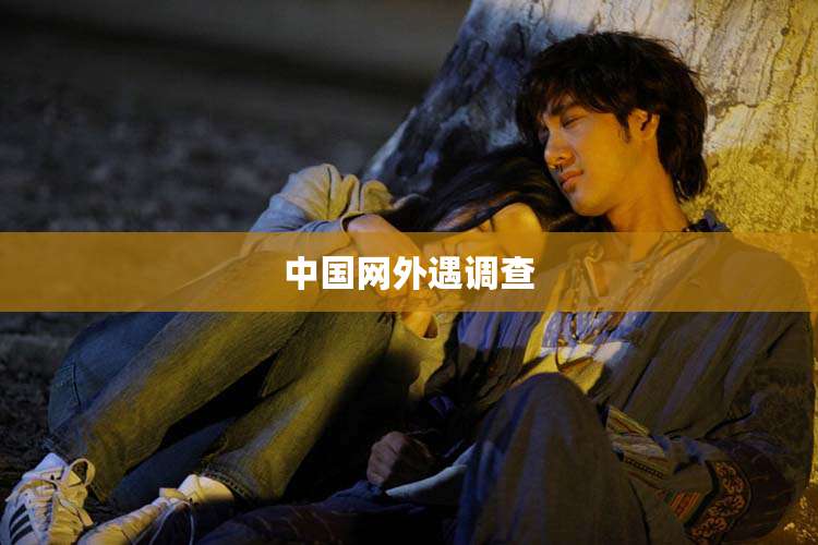 中国网外遇调查