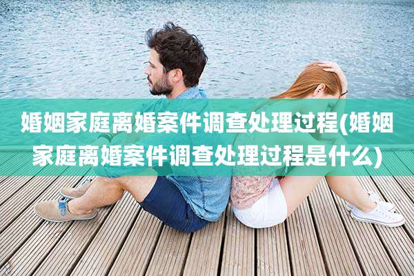 婚姻家庭离婚案件调查处理过程(婚姻家庭离婚案件调查处理过程是什么)