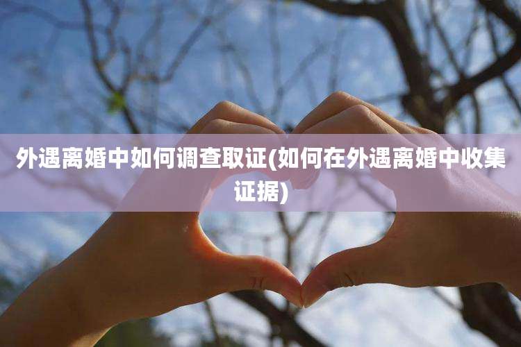 外遇离婚中如何调查取证(如何在外遇离婚中收集证据)