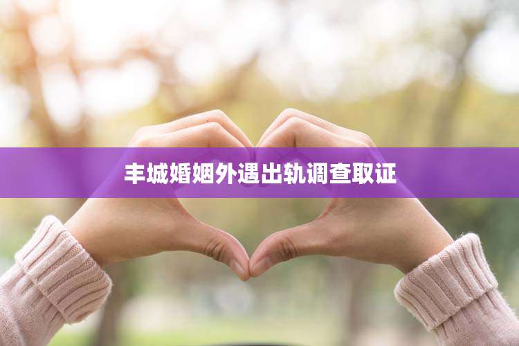 丰城婚姻外遇出轨调查取证