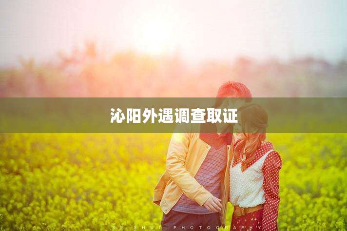 沁阳外遇调查取证