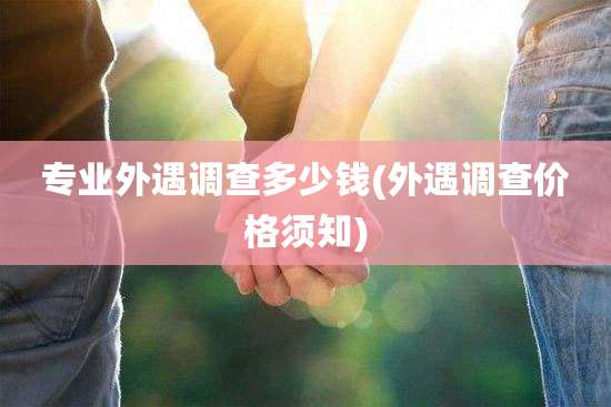 专业外遇调查多少钱(外遇调查价格须知)