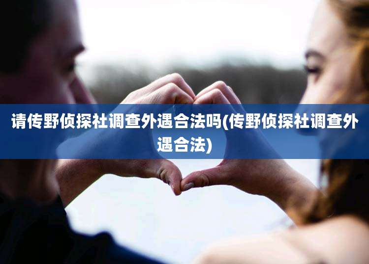 请传野侦探社调查外遇合法吗(传野侦探社调查外遇合法)