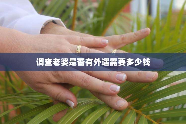 调查老婆是否有外遇需要多少钱