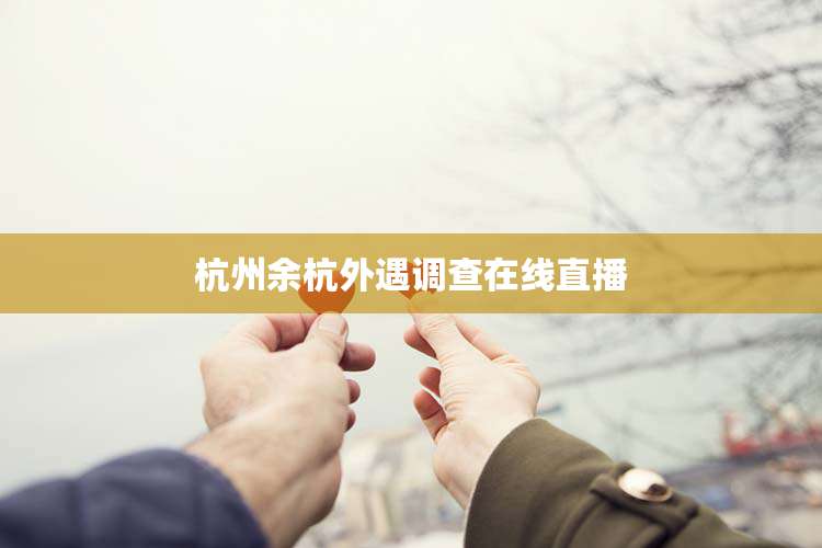 杭州余杭外遇调查在线直播