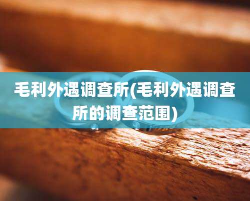 毛利外遇调查所(毛利外遇调查所的调查范围)