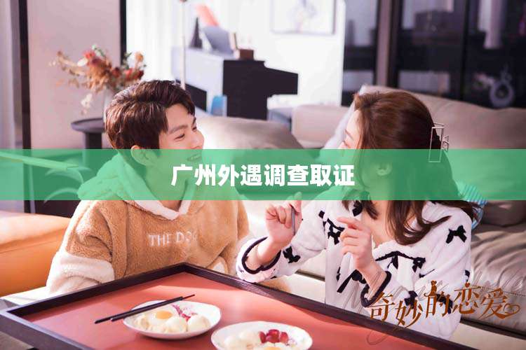 广州外遇调查取证
