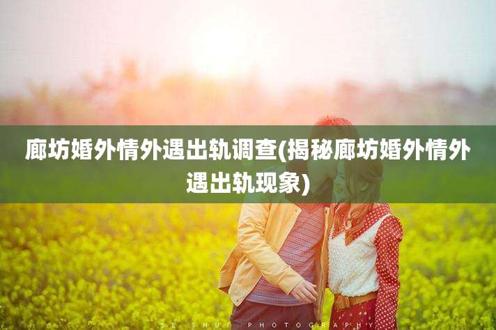 廊坊婚外情外遇出轨调查(揭秘廊坊婚外情外遇出轨现象)