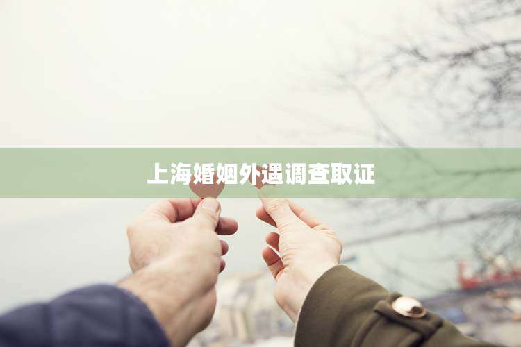 上海婚姻外遇调查取证