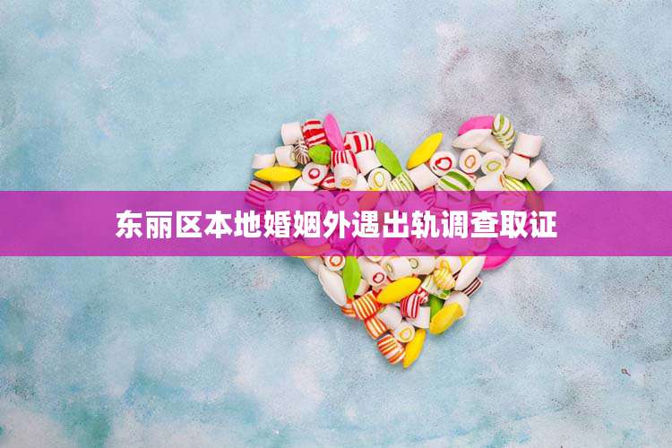 东丽区本地婚姻外遇出轨调查取证