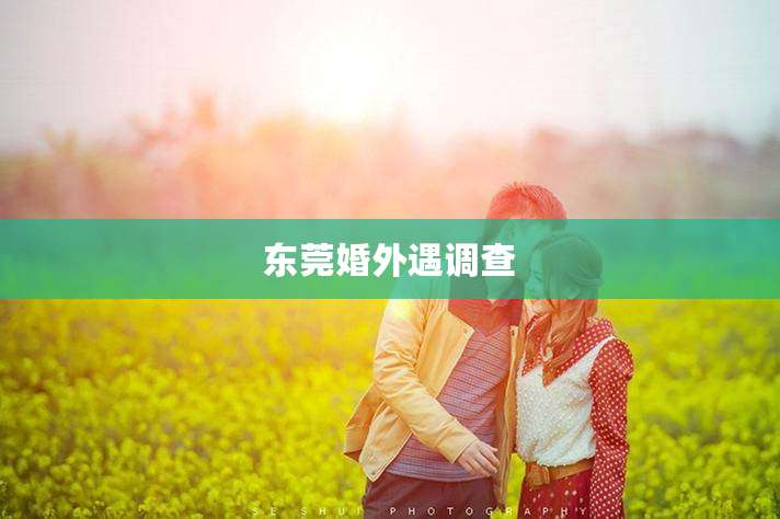 东莞婚外遇调查