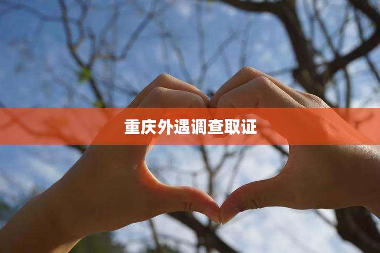 重庆外遇调查取证