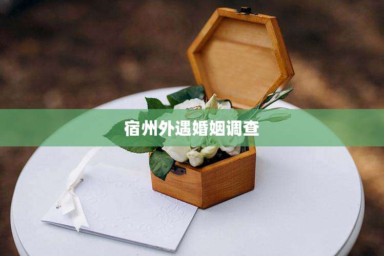 宿州外遇婚姻调查