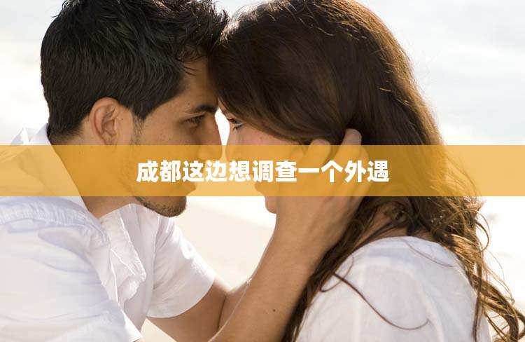 成都这边想调查一个外遇