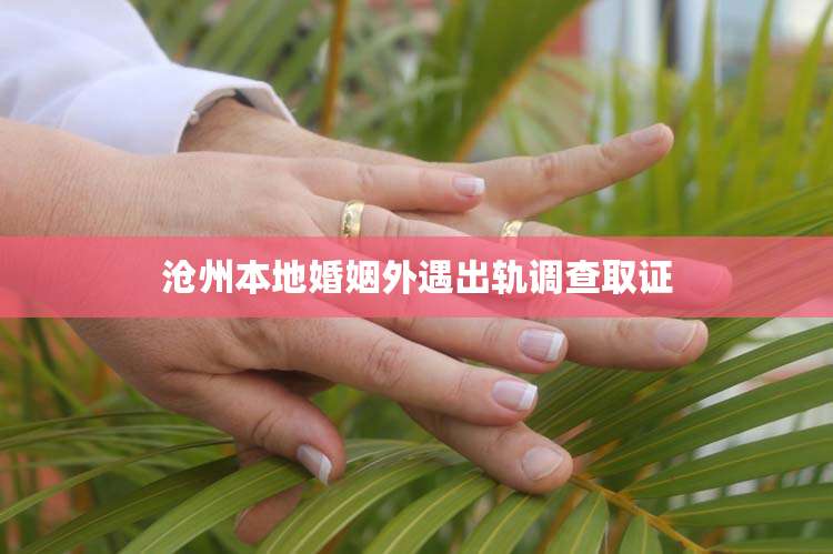 沧州本地婚姻外遇出轨调查取证