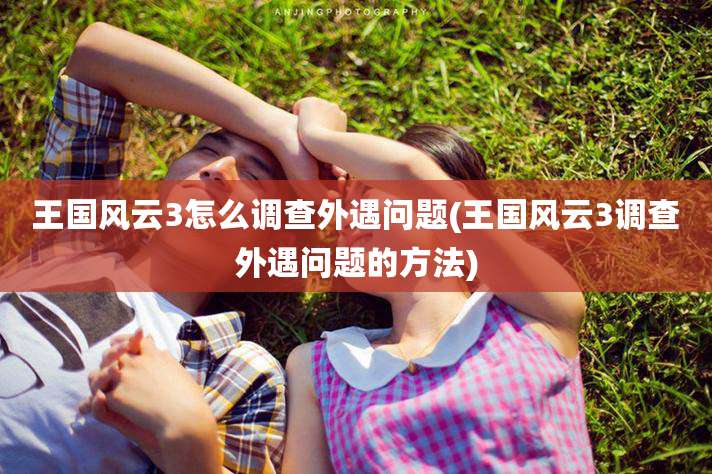 王国风云3怎么调查外遇问题(王国风云3调查外遇问题的方法)