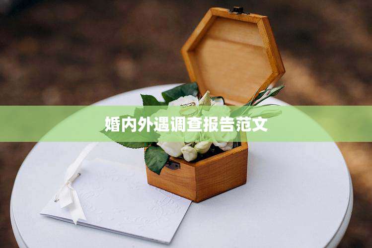 婚内外遇调查报告范文