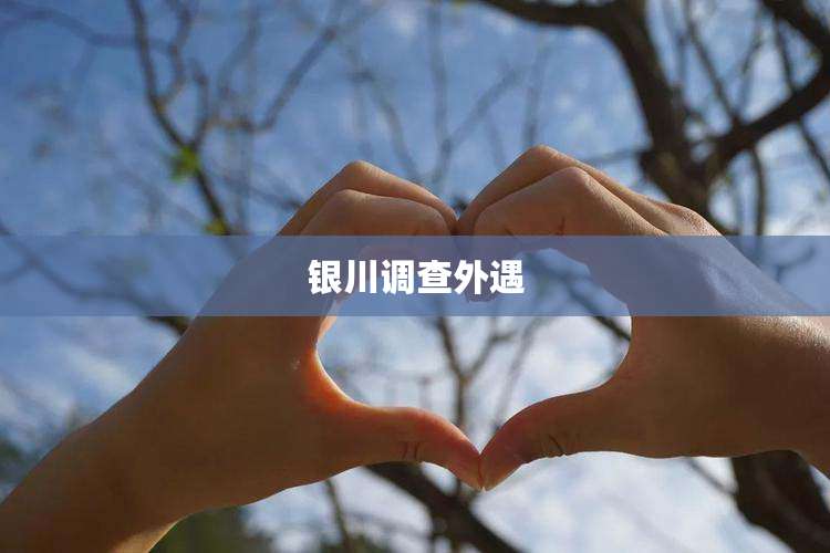 银川调查外遇