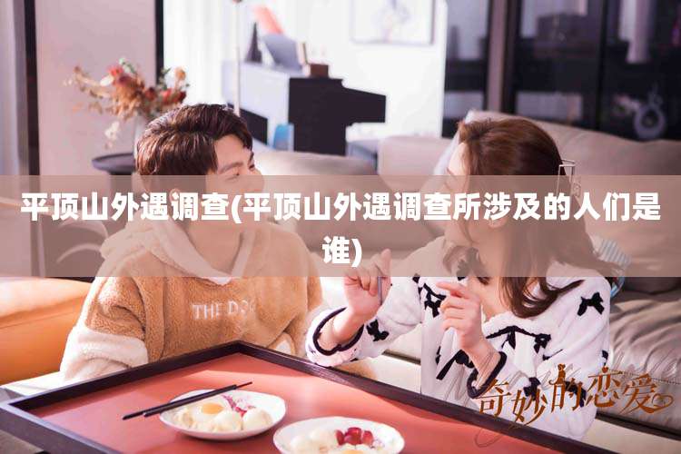 平顶山外遇调查(平顶山外遇调查所涉及的人们是谁)
