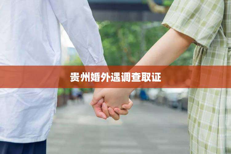 贵州婚外遇调查取证