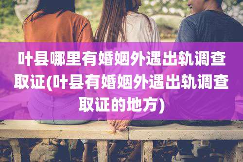 叶县哪里有婚姻外遇出轨调查取证(叶县有婚姻外遇出轨调查取证的地方)