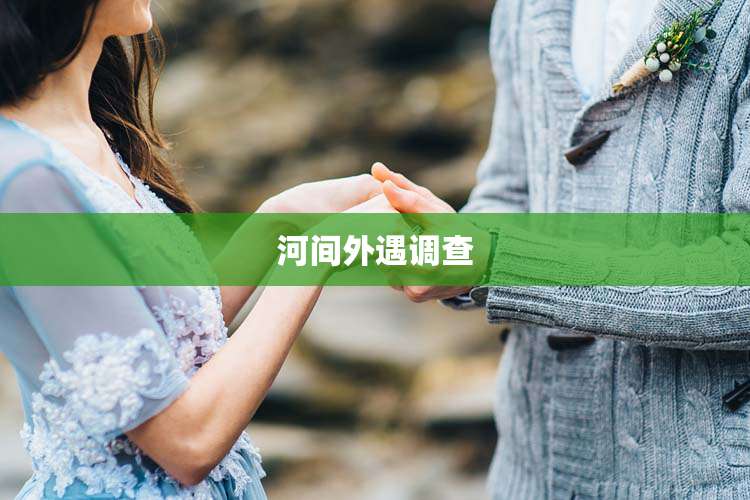 河间外遇调查