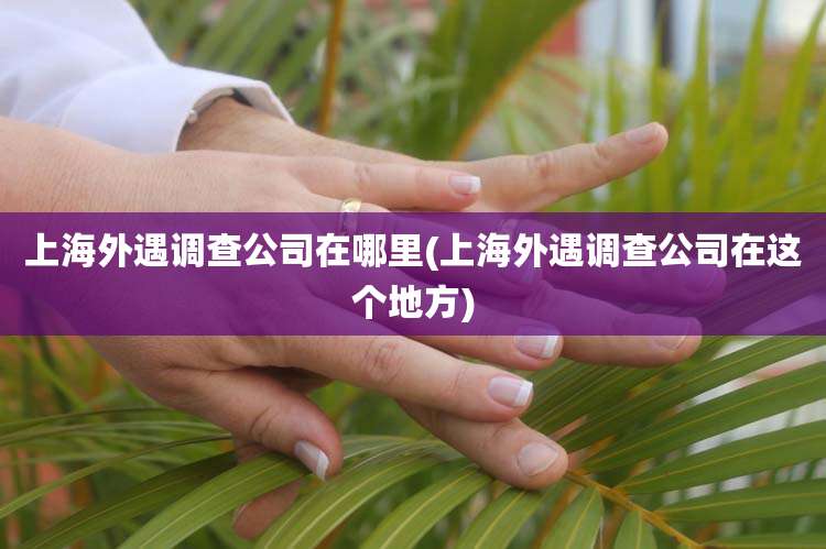 上海外遇调查公司在哪里(上海外遇调查公司在这个地方)