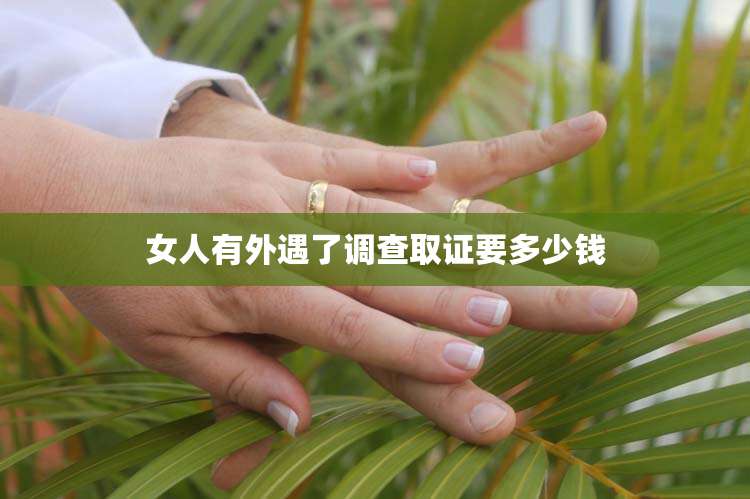 女人有外遇了调查取证要多少钱