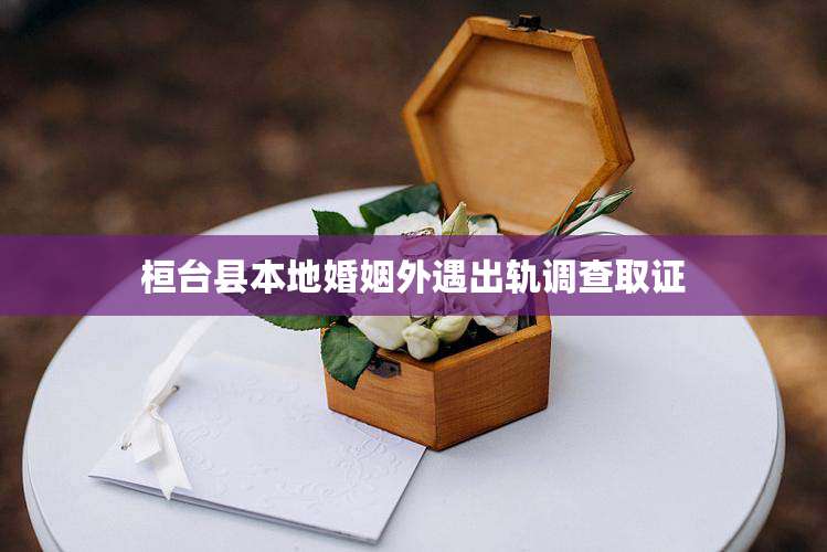 桓台县本地婚姻外遇出轨调查取证