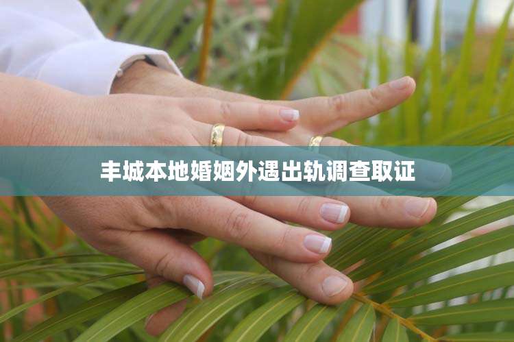 丰城本地婚姻外遇出轨调查取证