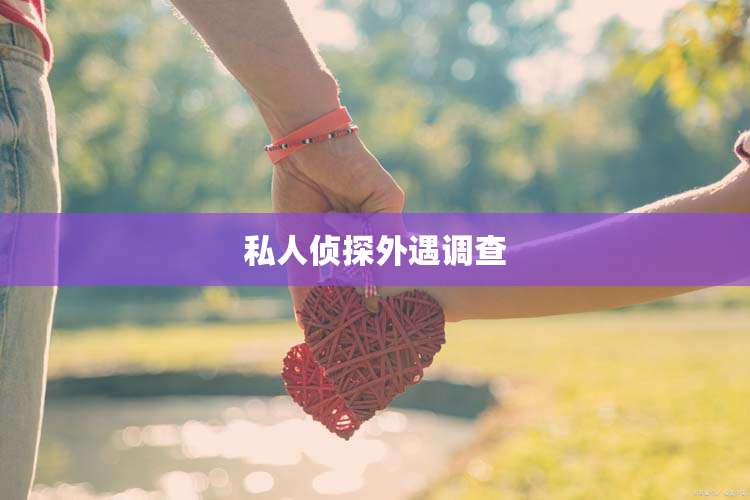 私人侦探外遇调查