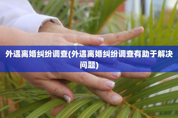 外遇离婚纠纷调查(外遇离婚纠纷调查有助于解决问题)