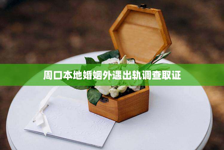 周口本地婚姻外遇出轨调查取证