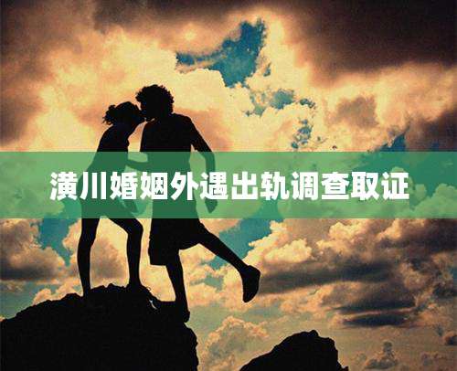 潢川婚姻外遇出轨调查取证