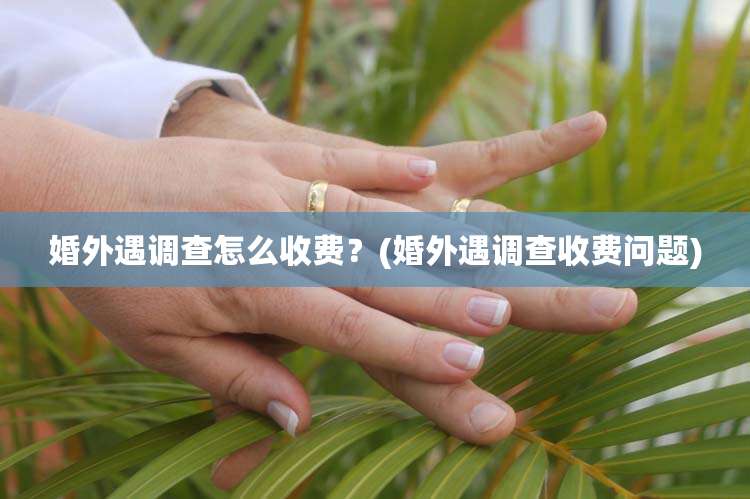 婚外遇调查怎么收费？(婚外遇调查收费问题)