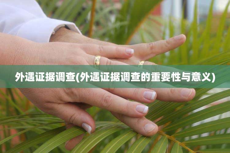 外遇证据调查(外遇证据调查的重要性与意义)
