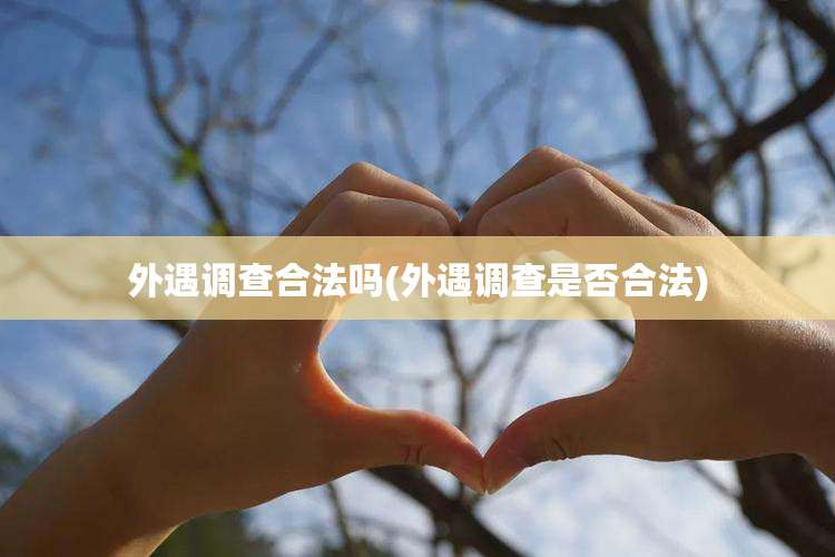 外遇调查合法吗(外遇调查是否合法)