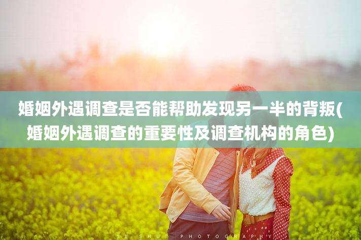 婚姻外遇调查是否能帮助发现另一半的背叛(婚姻外遇调查的重要性及调查机构的角色)