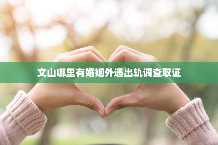 文山哪里有婚姻外遇出轨调查取证