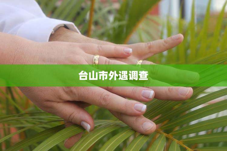 台山市外遇调查