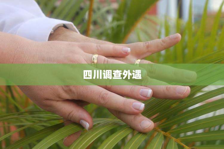 四川调查外遇