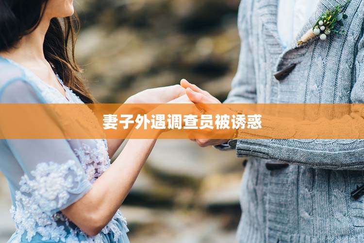 妻子外遇调查员被诱惑