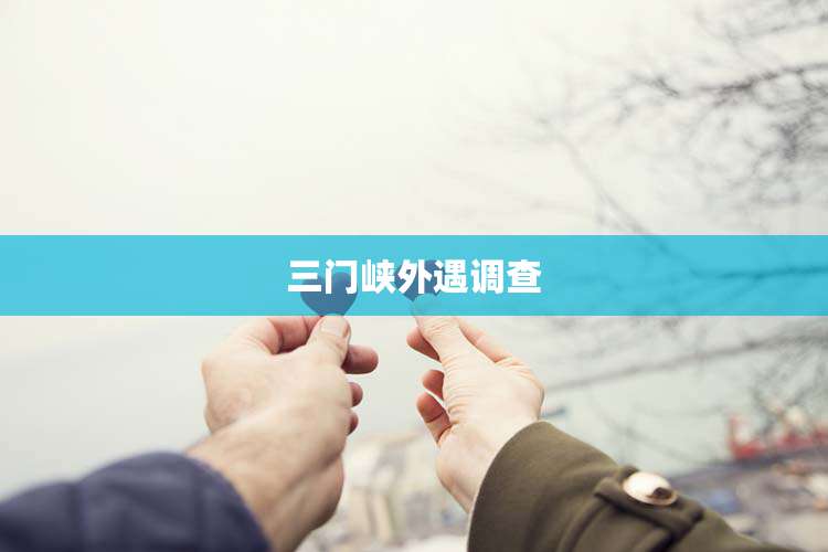 三门峡外遇调查