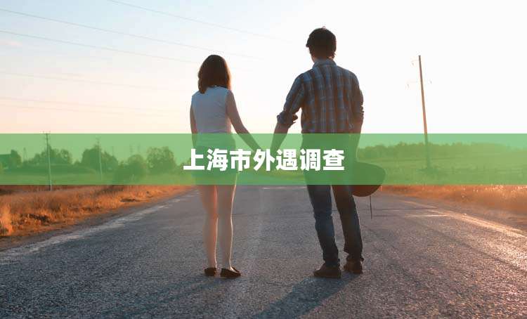 上海市外遇调查