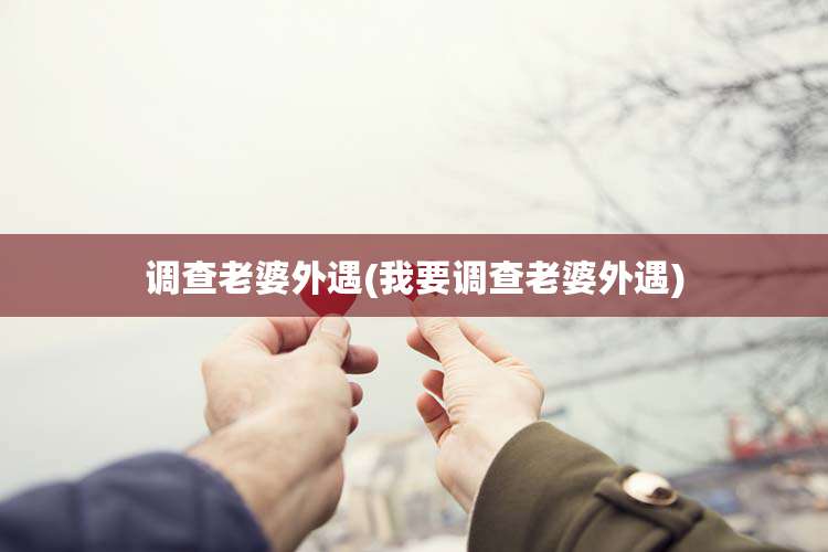 调查老婆外遇(我要调查老婆外遇)