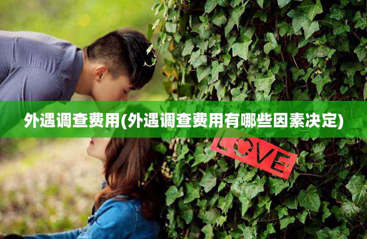 外遇调查费用(外遇调查费用有哪些因素决定)