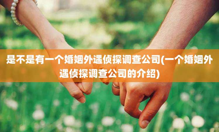 是不是有一个婚姻外遇侦探调查公司(一个婚姻外遇侦探调查公司的介绍)
